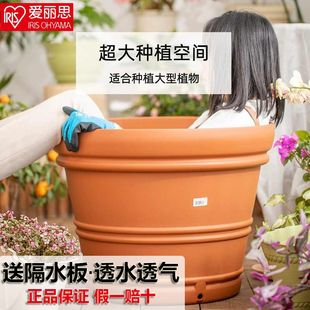 爱丽思种树大花盆爱丽丝塑料加厚仿陶瓷大口径庭院特大号种树花盆