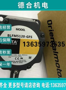 拍前咨询东方电机BLFM5120-GFSBLFM460-GFSBLFM230-GFS订金报价