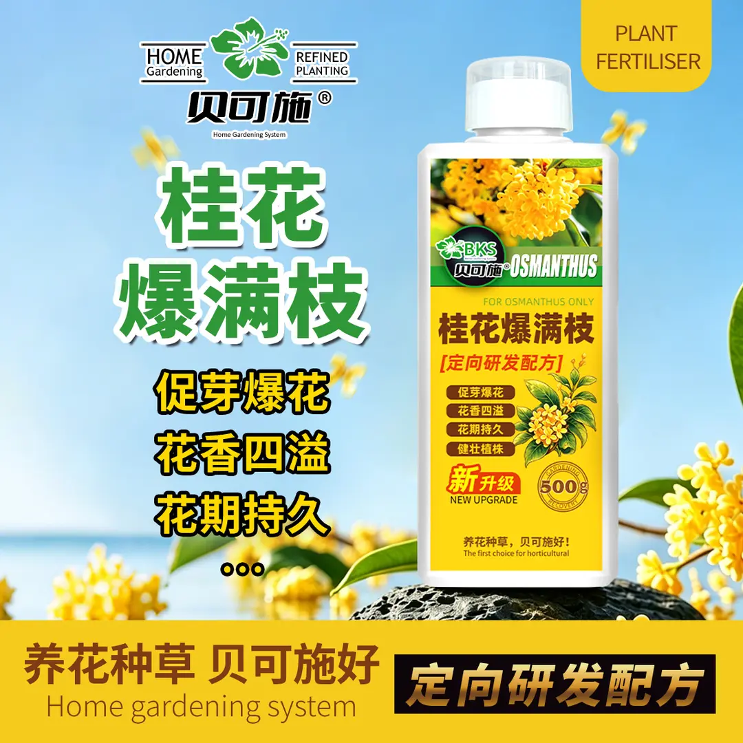 贝可施桂花爆满枝肥花期持久花香四溢健壮植株桂花专用肥复合肥