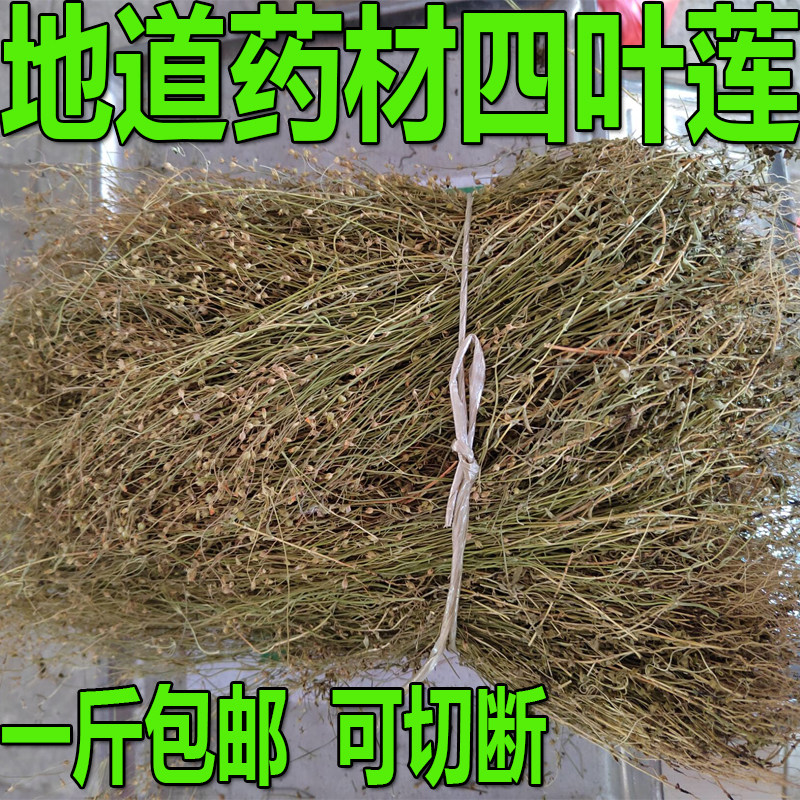 无硫四叶莲药材野生田字草干货四叶菜四叶苹四合莲 一斤包邮可切