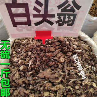 纯根白头翁根无硫中草药白头草根奈何草根野丈人菊菊苗老翁花包邮