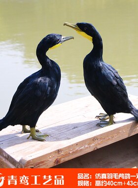 仿真羽毛鸬鹚模型装饰摆