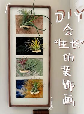 空气凤梨植物装饰画办公室客厅摆件现代简约个性画复古磁吸相框
