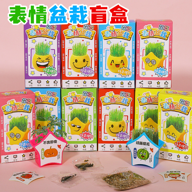 网红创意卡通长草娃娃小学生青草盆摆件儿童表情盆栽植物草头