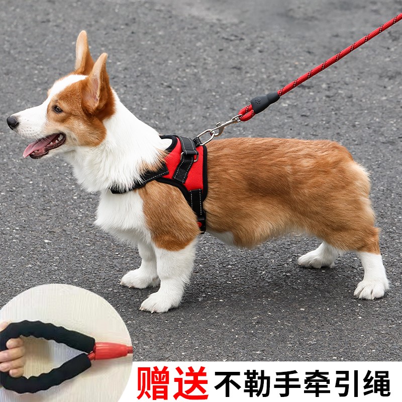 狗狗牵引绳胸背式胸背带泰迪法斗柯基小型犬中型犬遛狗绳宠物用品