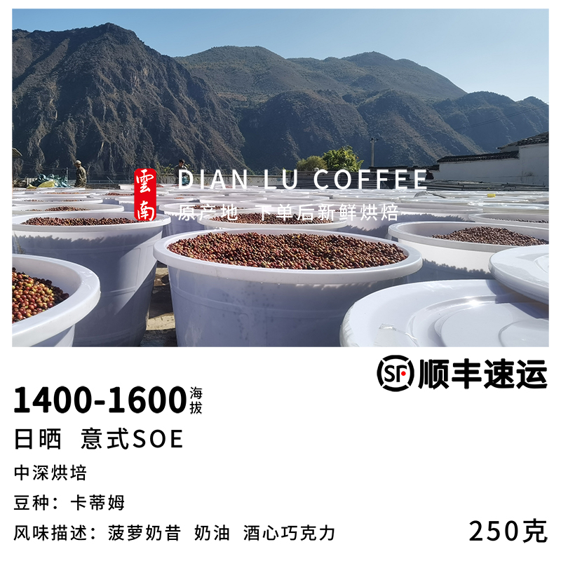 滇潞阿拉比卡保山香醇意式SOE
