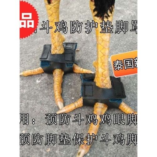 斗鸡用品斗鸡护脚斗鸡胶鞋斗鸡训练脚鞋