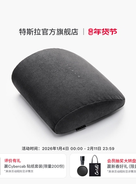 特斯拉（Tesla）官方 Model 3/Y/YL 腰靠（单个）记忆棉贴合曲线