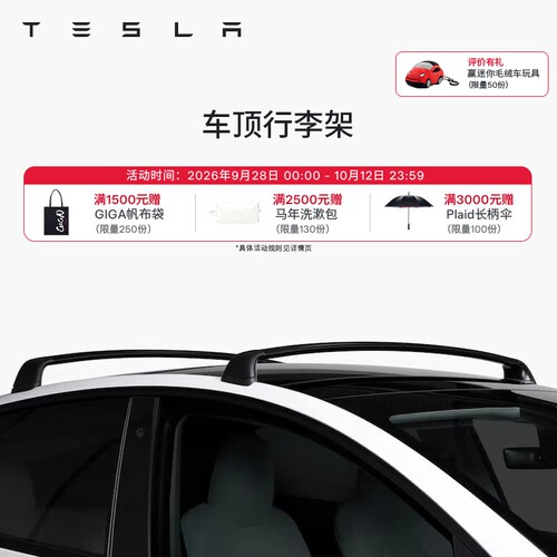Tesla特斯拉车顶行李架简单易用