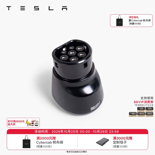 特斯拉（Tesla）官方 国标直流(DC)适配器 / 交流(AC)适配器