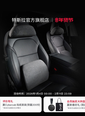 特斯拉（Tesla）官方 Model 3/Y/YL 头枕&腰靠组合 头枕*1+腰靠*1