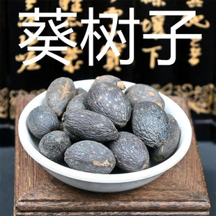 葵树子 500g克散装葵树籽中药材 大粒葵树果干葵扇籽蒲葵籽非野生