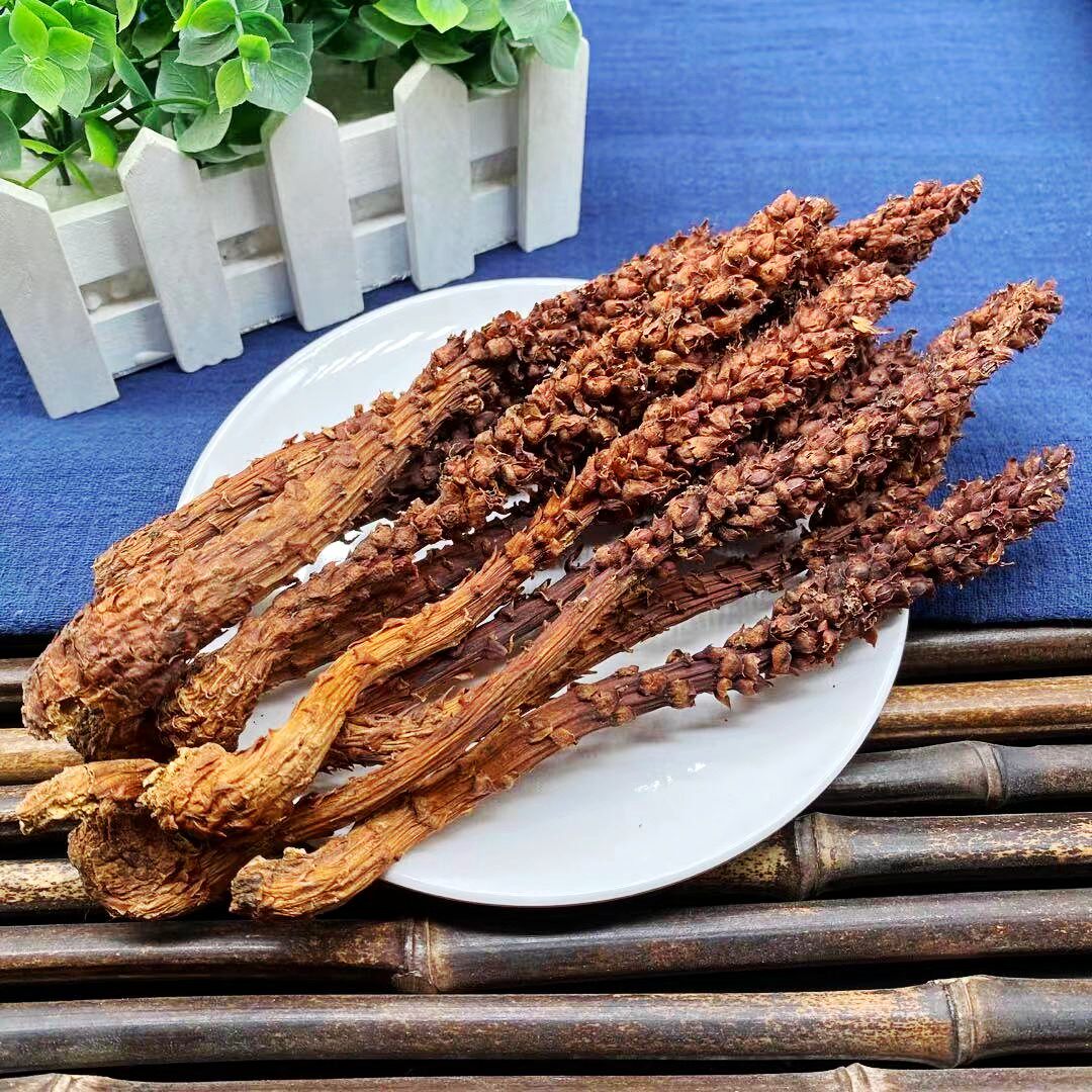 不老草 500g克散装列当草另有回春草滋补泡酒茶料非野生中药材