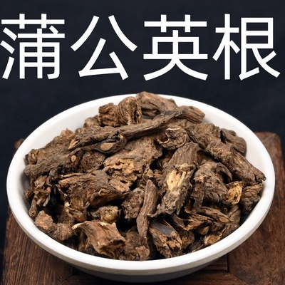 蒲公英根中药材整根婆婆丁根