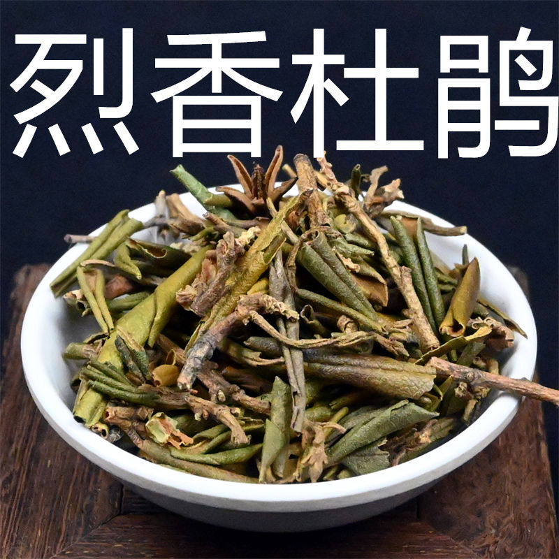 烈香杜鹃 中药材白香柴黄花杜鹃 小叶枇杷野枇杷非野生另有安息香