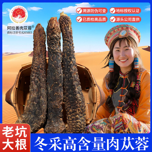 肉苁蓉切片整根特级泡酒料中药材