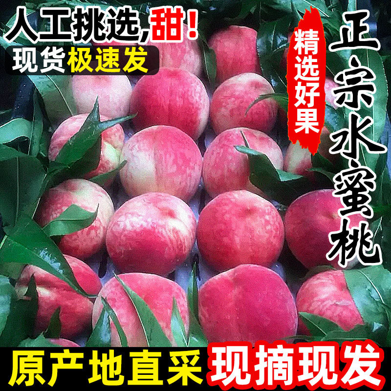 现摘桃子红美人水蜜桃大果10斤时令水果新鲜当季脆桃毛桃孕妇5斤