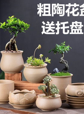 粗陶花盆透气小号清香木发财树盆景盆栽家用特价小多肉花盆带托盘
