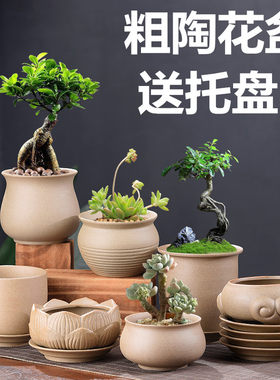 粗陶花盆多肉植物盆景盆栽盆特价