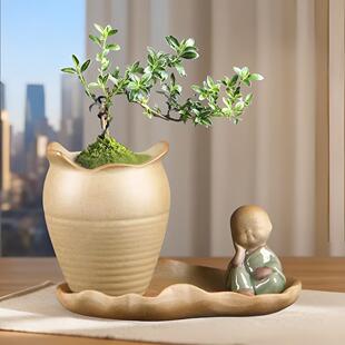 粗陶多肉植物陶瓷花盆小和尚小花盆绿植盆栽小榕树小文竹花盆套装