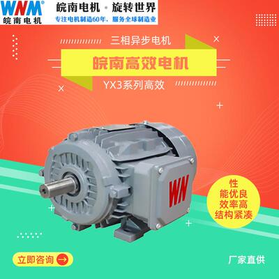 电机马达YX3高效三相异步电动机45w55w75w90w110w132w