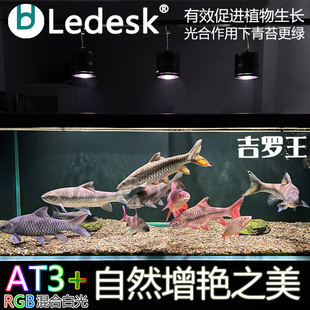 乐迪吉罗王灯100w全光谱增色显色爆藻灯 原生鱼溪流缸植物生长灯