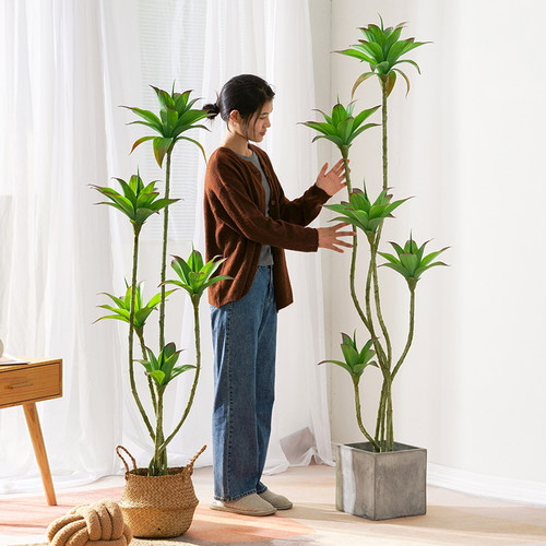 恋柚仿真睡莲落地橱窗造景装饰