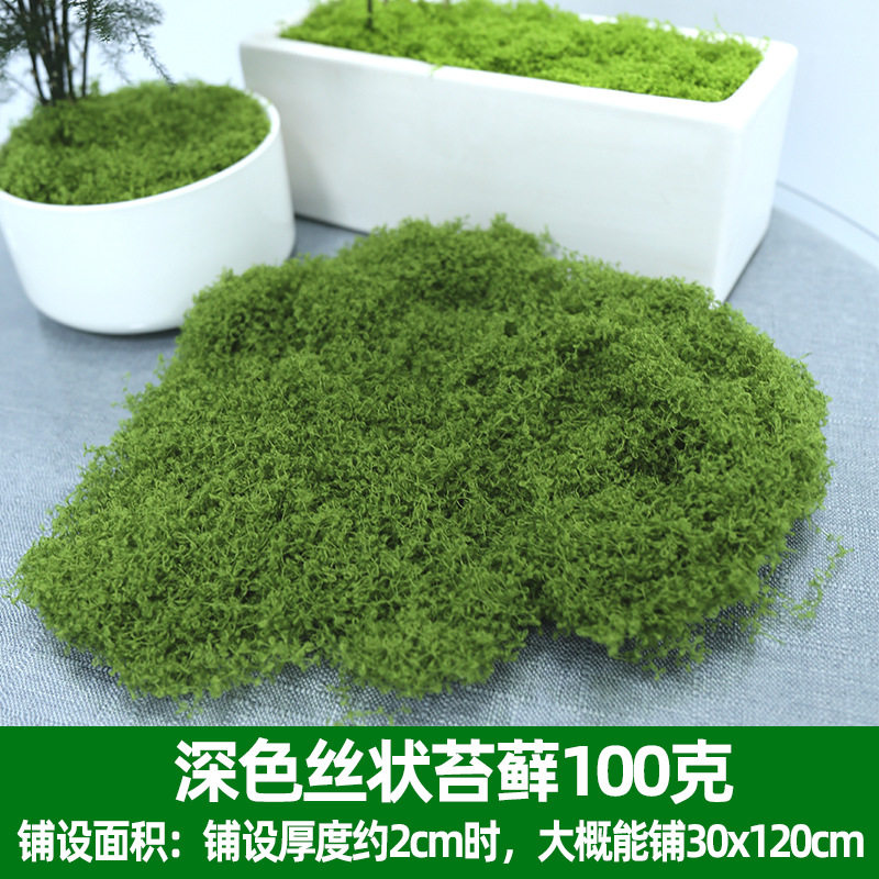 仿真苔藓草皮仿生假苔藓仿真草坪永生假青苔微景观绿植造景假草丝
