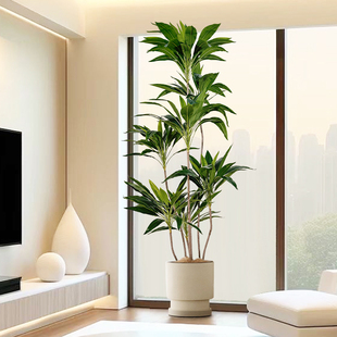 仿真绿植高端轻奢天鹅绒假树装 饰室内防真大植物客厅高级仿生绿植