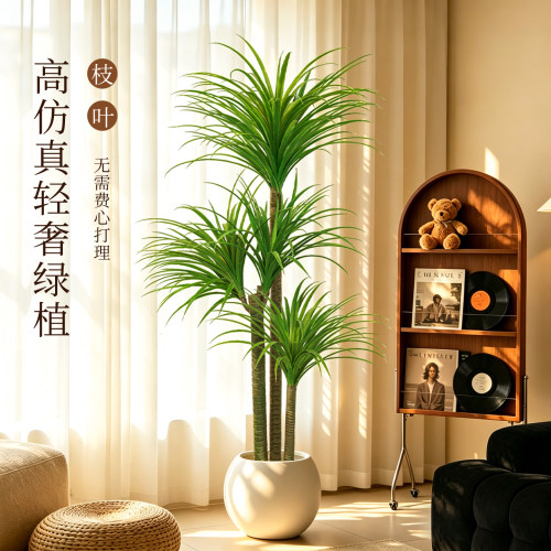 客厅阳台仿真龙血树落地盆栽摆件