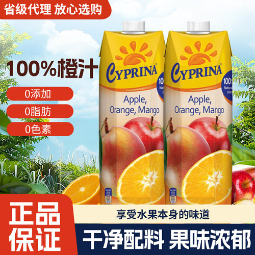 塞浦路斯进口橙汁1L*2商用