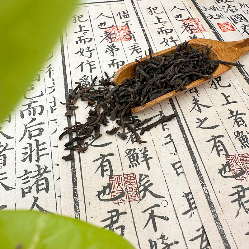 【玩家级】九十年代槟榔香六堡茶芽 槟榔木兰花香 细腻醇绵老六堡