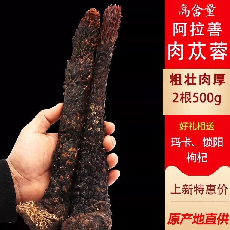 肉苁蓉整根阿拉善肉苁蓉切片内蒙古油性肉苁蓉沙漠人参泡茶泡酒