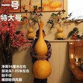 天然真葫芦特大号葫芦带龙头不开口摆件葫芦特大葫芦挂件一物一图