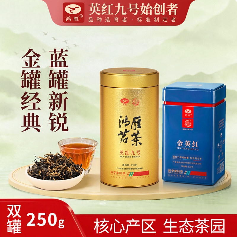 英红九号红茶+金英红春茶明前茶图片
