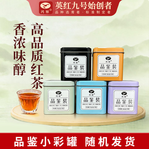 鸿雁茶叶旗舰店正宗英红九号英德红茶浓香型红茶叶品鉴茶罐装30g