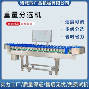 重量分拣机称重分选机海蛎子牡蛎生蚝海参鲍鱼小龙虾全自动分级机
