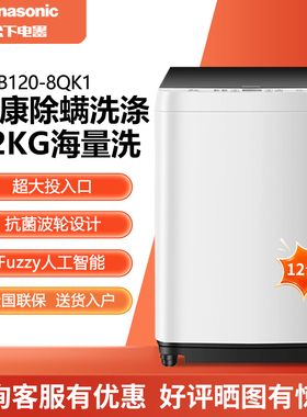 Panasonic/松下XQB120-Q1L1/8QK1/8QM1波轮洗衣机抗菌除螨羽绒洗