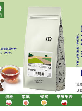 TO咖啡 埃塞俄比亚切尔巴 耶加雪菲日晒精品咖啡豆200g 手冲单品