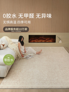 防水无胶客厅地毯素色现代简约高级感抗污抑菌卧室床边毯沙发毯