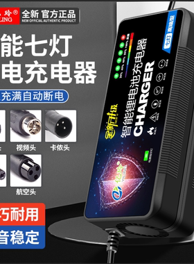 锂电池充电器48V60V72V适用星恒雅迪24V36V24A锂电12V专用54.6V3A