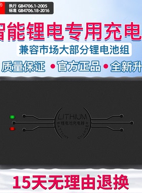 96V锂电池充电器109.2V113.4V116.8V5A专用三元117.6智能铁锂快充