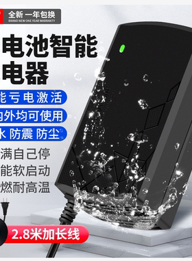 防水锂电池充电器48V2A54.6V24V电动代驾车雅迪爱玛36V滑板车专用