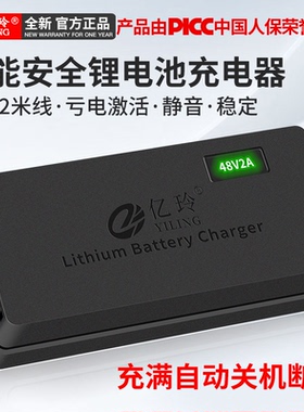 适用48V星恒锂电池充电器锂离子54.6V2A天能超威电瓶车代驾车专用