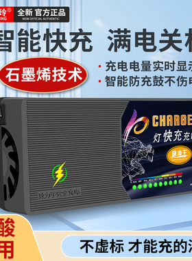 电动车充电器60V48V原装电瓶三轮车72伏电摩通用智能快充自动断电