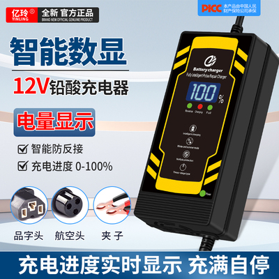 亿玲12v单块铅酸电池数显充电器