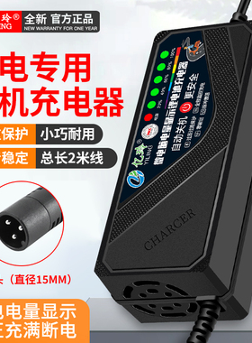 锂电池充电器48V12AH电瓶车2A适用艾玛54.6V3A爱玛电动车专用5A伏