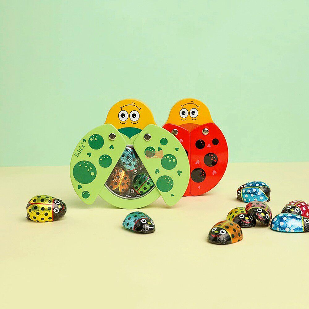 意大利进口零食EDAS艾达的世界迷你瓢虫牛奶巧克力礼盒装儿童零食