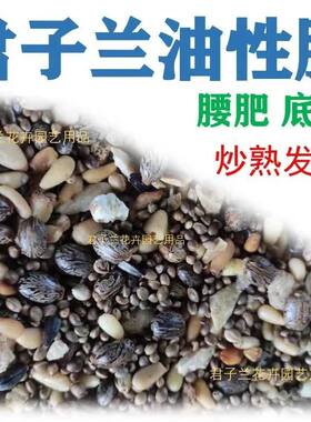 君子兰专用肥腰肥促开花氮磷钾肥