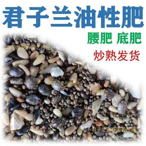 君子兰专用肥腰肥促开花氮磷钾肥